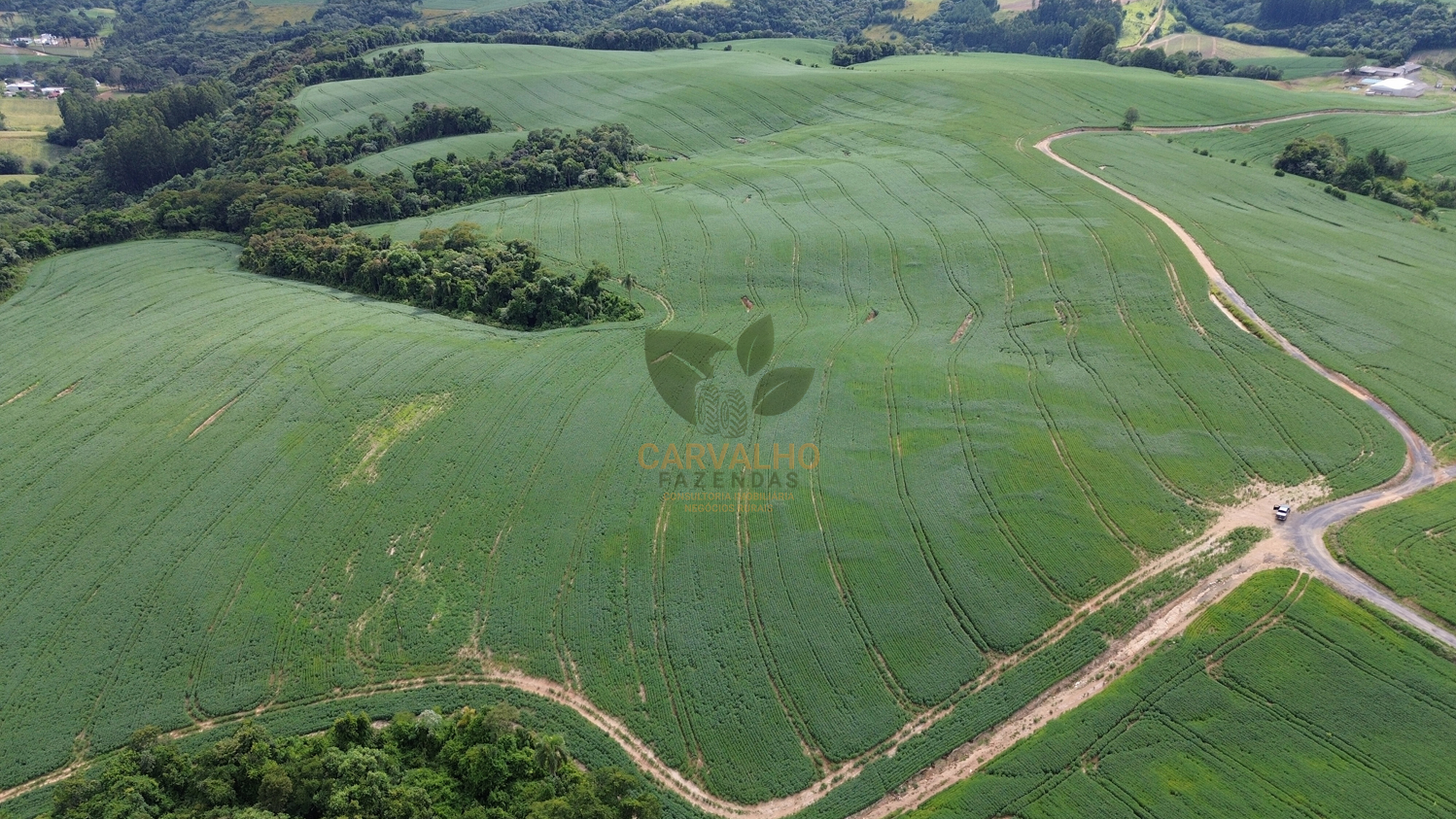 Propriedade Campos Gerais - 58 ha