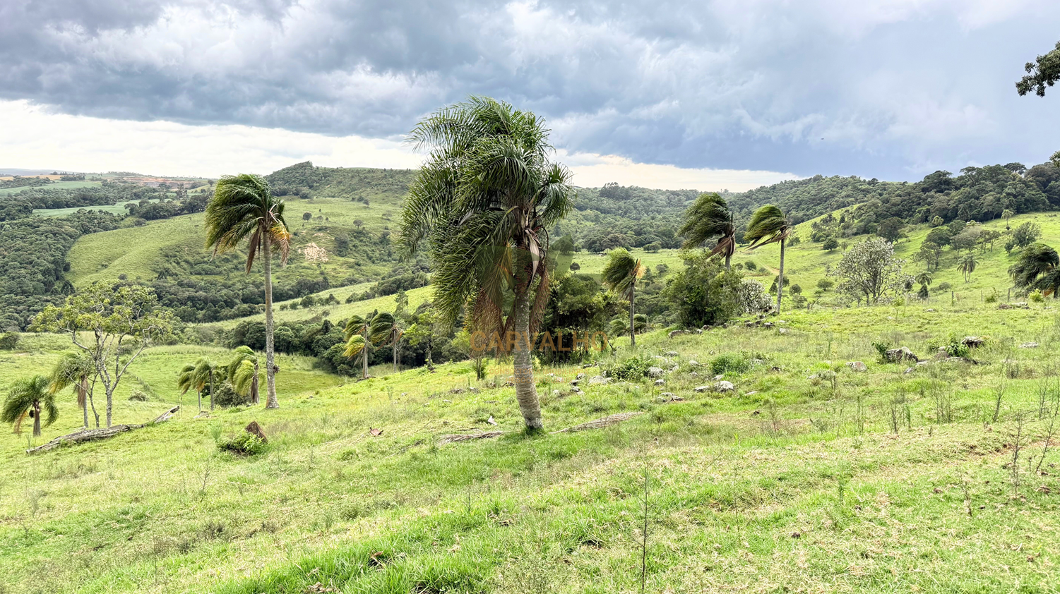 Fazenda Fernandes Pinheiro Geral