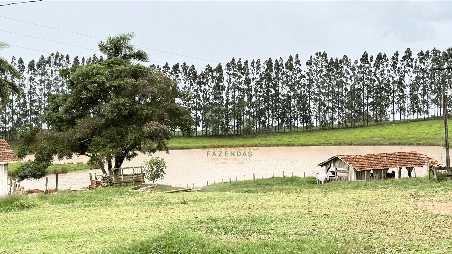 Fazenda em Fernandes Pinheiro