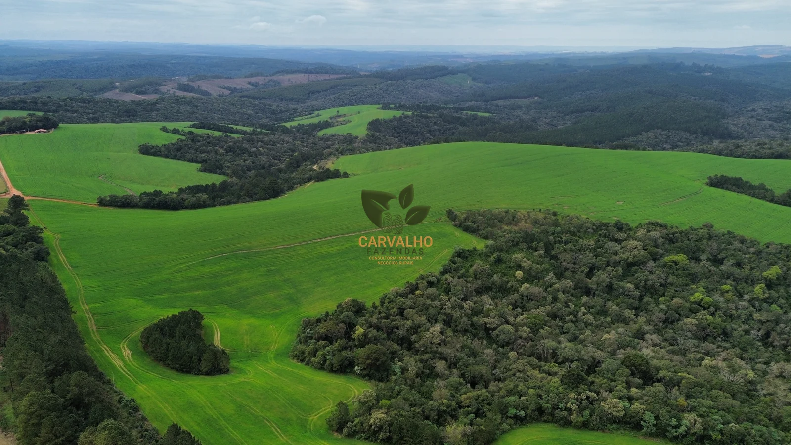 Vista Aérea