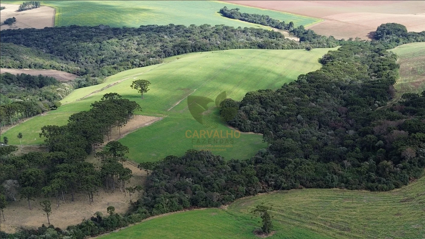 Vista Aérea