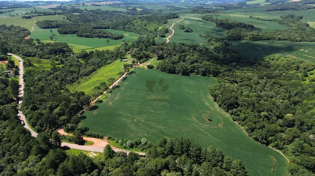 Fazenda em Tibagi