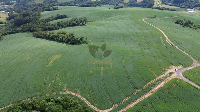 Propriedade Campos Gerais - 58 ha