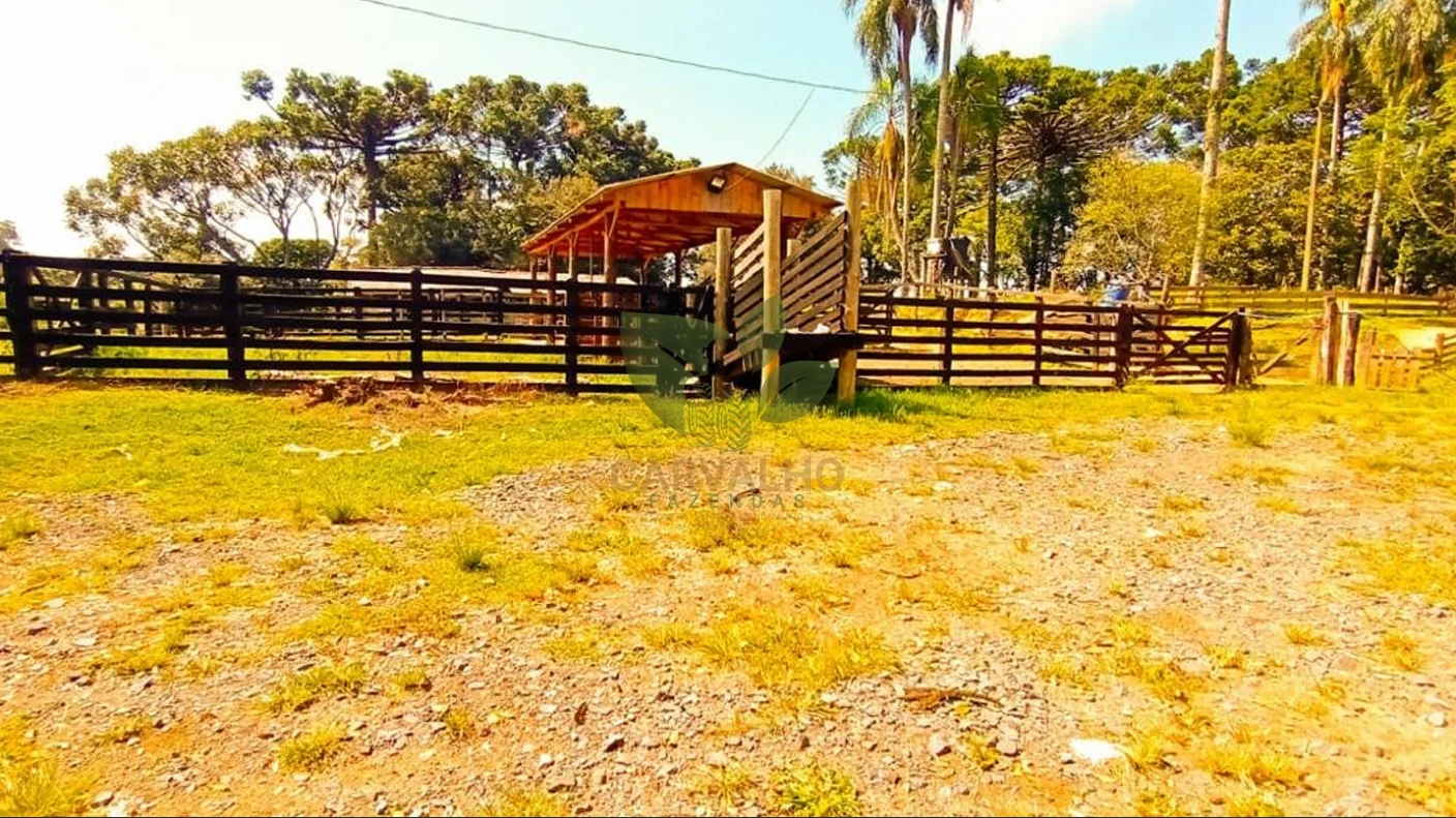Área de Pastagem