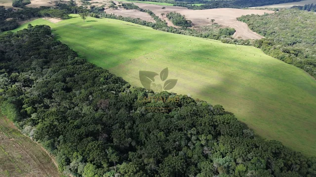 Vista da Área e Plantação