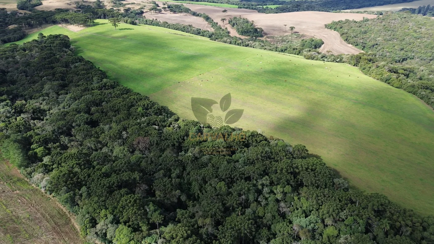 Vista da Área e Plantação