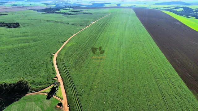 Vista Aérea