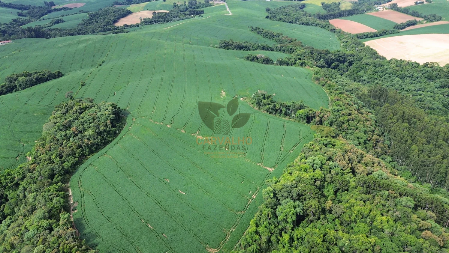 Vista Aérea 3