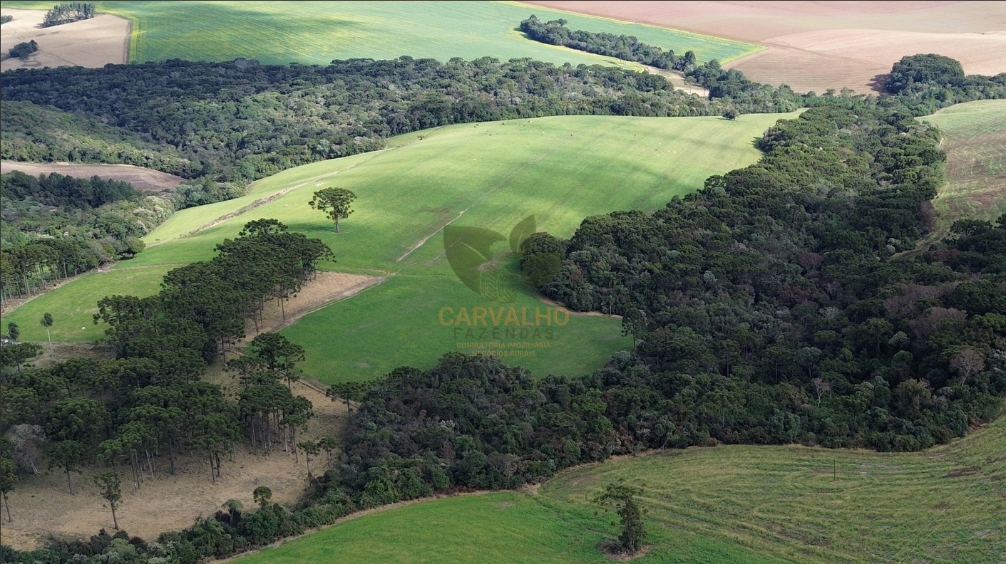 Fazenda a venda em Ponta Grossa