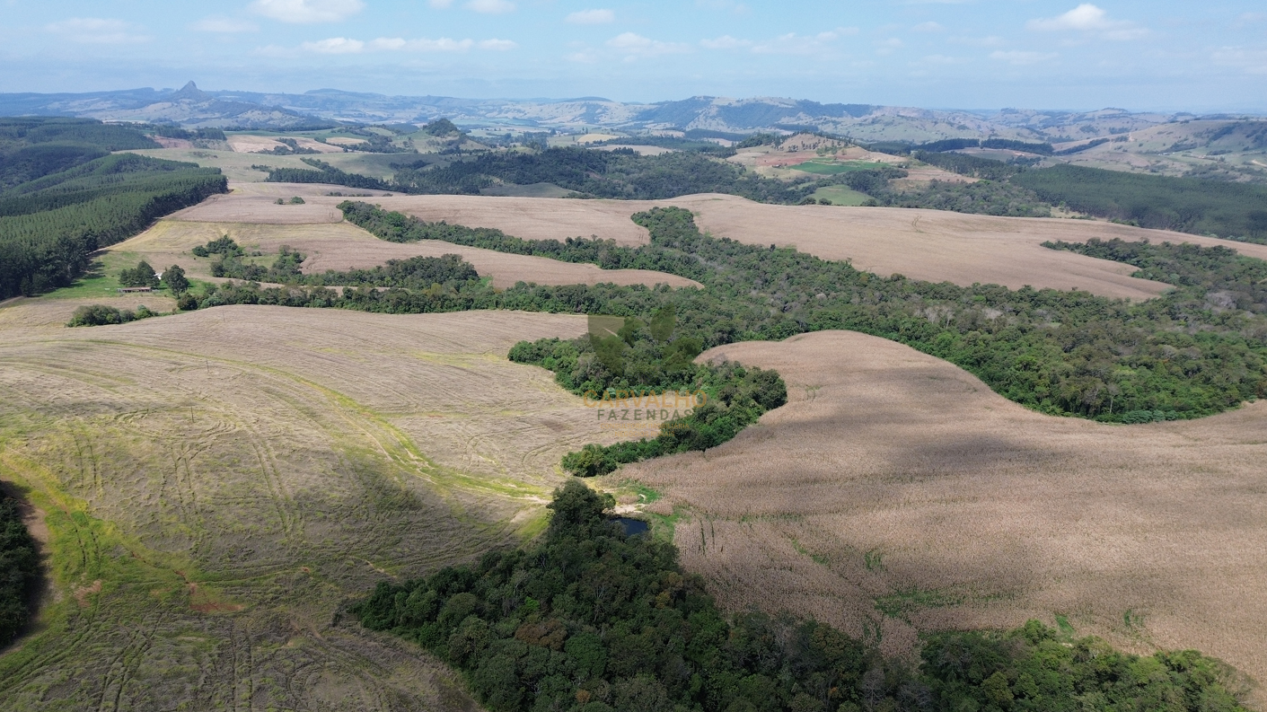 Vista Aérea Fazenda