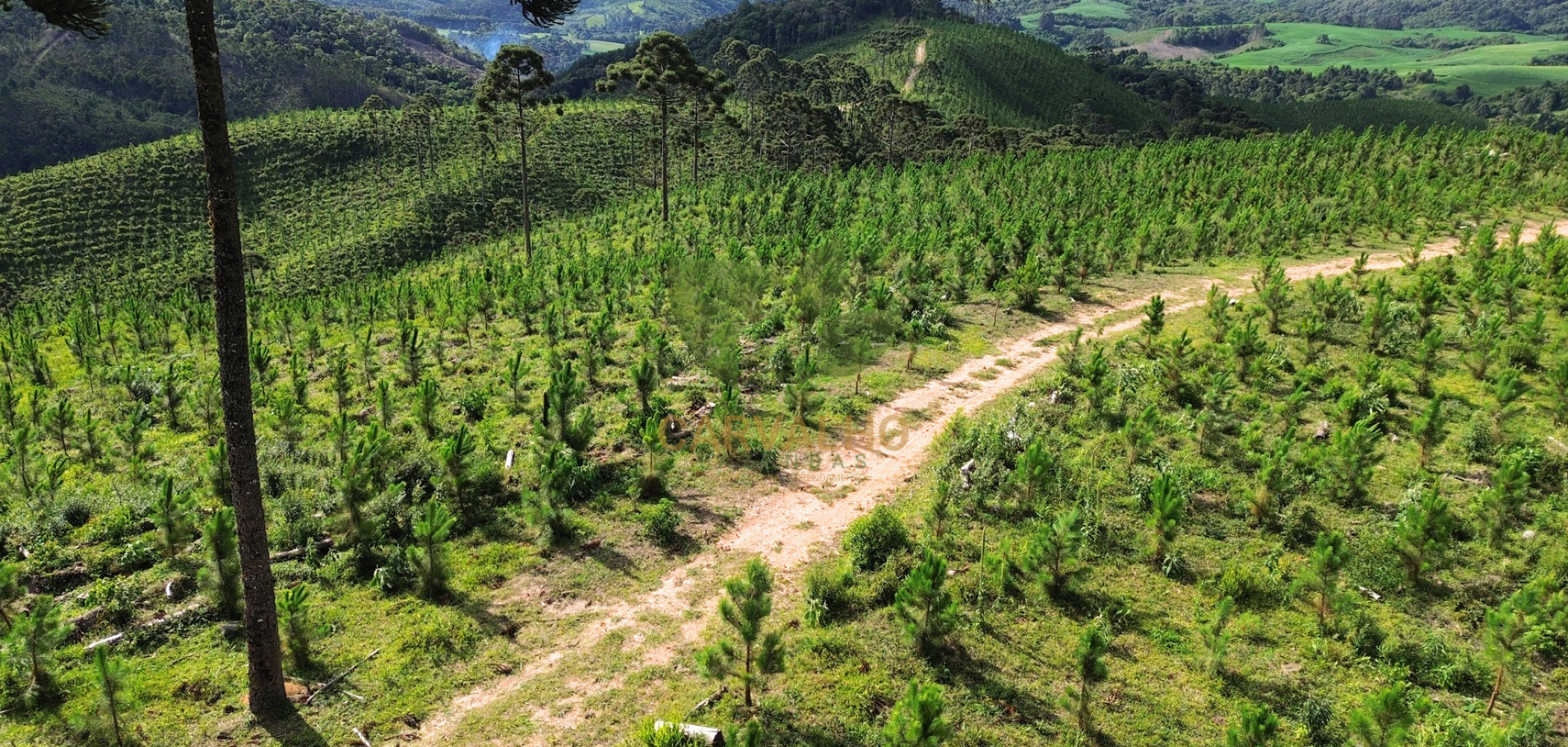 Área Produtiva
