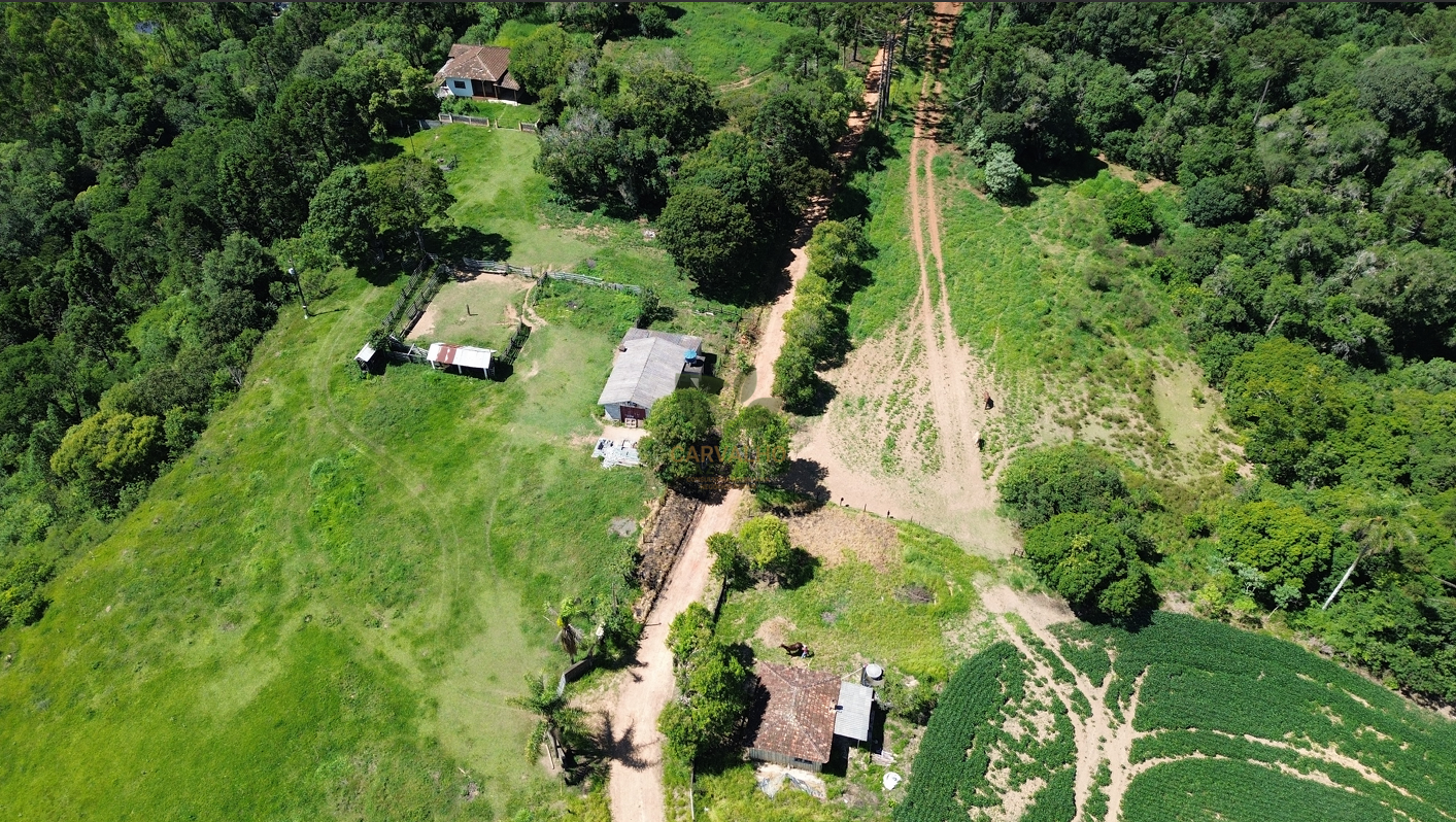 Estruturas da propriedade